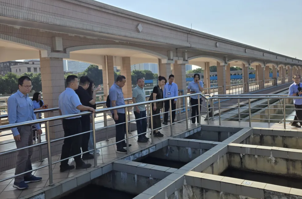 1731500510866003773.png 1731500510866003773.png